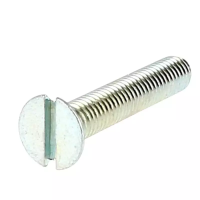TF avec Collet Carré M14X80/34 Acier 8.8 Zingué Blanc DIN 608 + Écrou