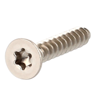 Eco-Syn pour Thermoplastiques TF Torx 2.5X12 Inox A2