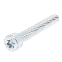 TC Torx M2.5X16 Acier 8.8 Zingué Blanc ISO 14579