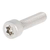 Tête Cylindrique Torx M2.5X12 Inox A2 ISO 14579