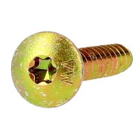 Vis de Penture TRL Torx 6X30 Acier Zingué Bichromaté
