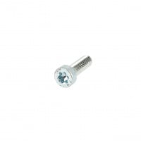 TC Torx M5X25 Acier 8.8 Zingué Blanc ISO 14580