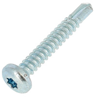 Autoperceuse TCB Torx 3.5X13 Acier Zingué Blanc DIN 7504M