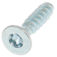 Plastite TF Torx 3.5X16 Acier Zingué Blanc Wn 1423