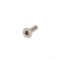 TF TORX M4X25 INOX A2