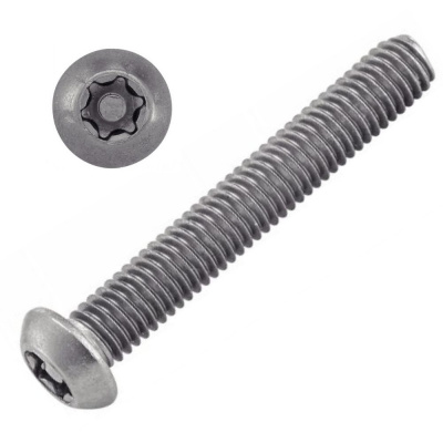 VIS INVIOLABLE TB TORX + TETON M4X8 INOX A2