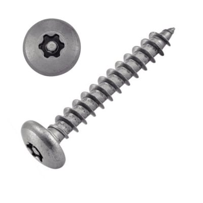 VIS TOLE INVIOLABLE TETE BOMBEE TORX + TETON 4.8X25 INOX