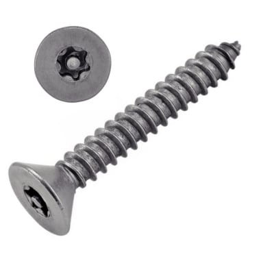 VIS TOLE INVIOLABLE TF TORX + TETON 4.2X25 INOX A2